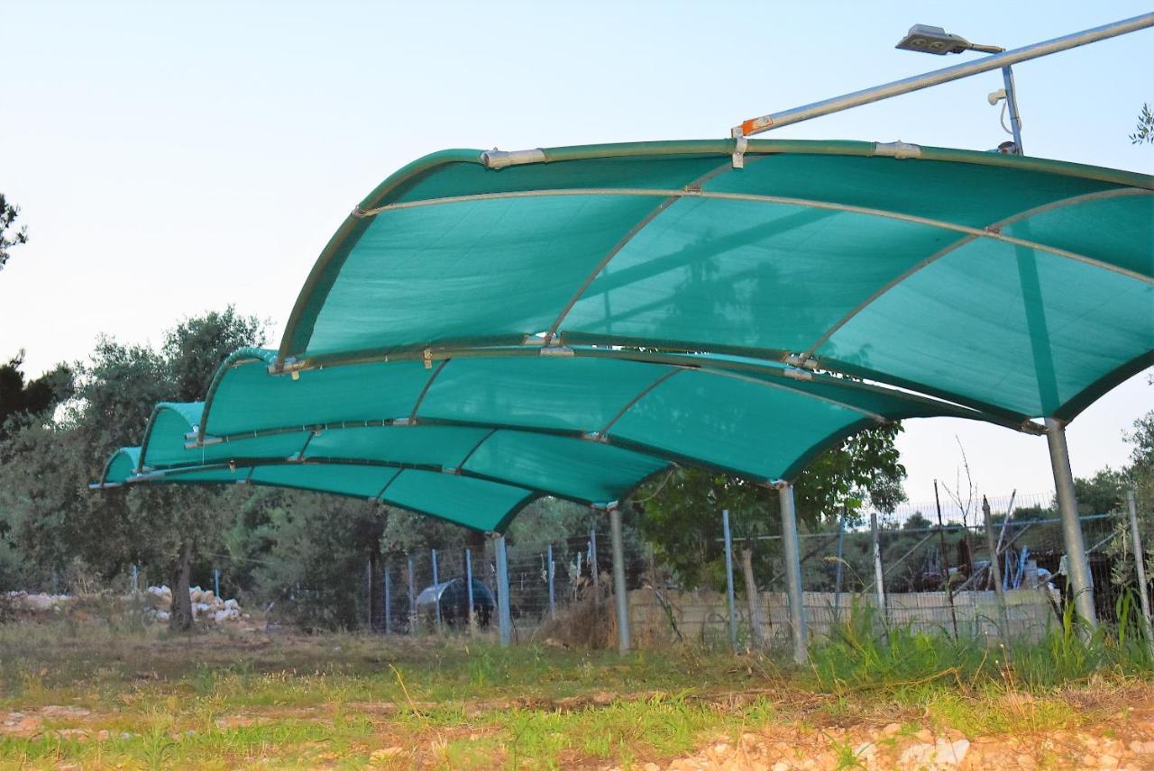 Studios Apartments Irini Patira Ποτός Εξωτερικό φωτογραφία
